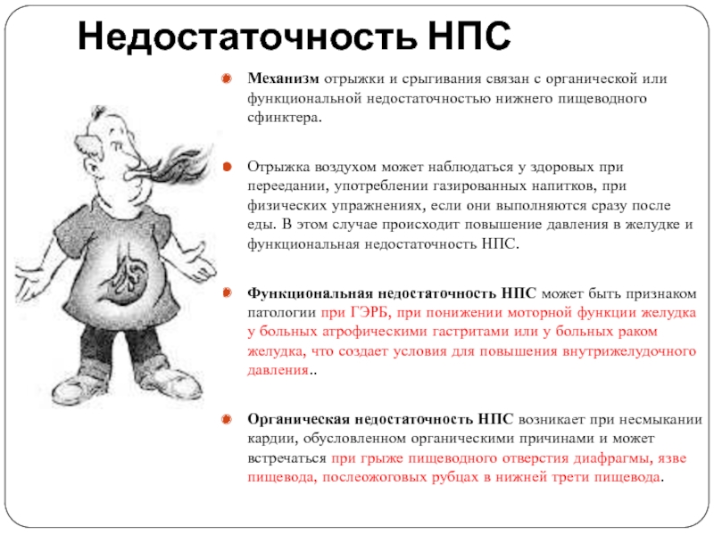 Причины отрыжки воздухом у взрослых