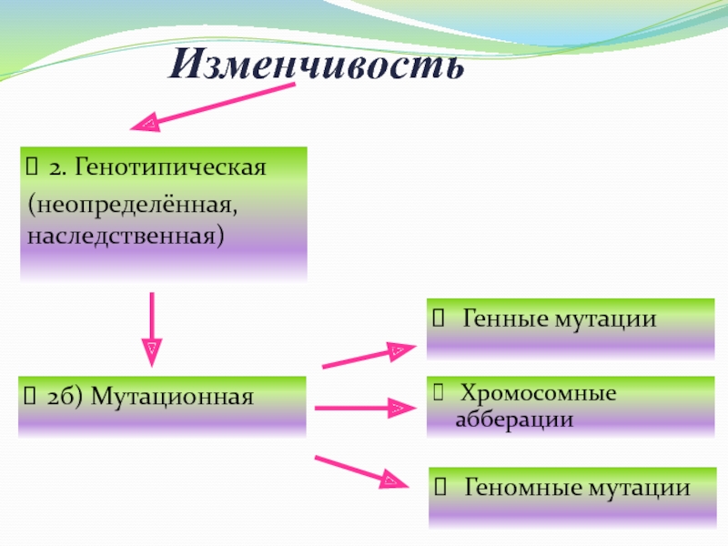 Мутационная изменчивость схема