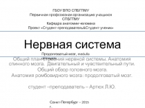 Нервная система