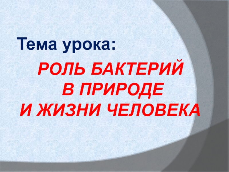 Презентация на тему роль бактерий в природе и жизни человека