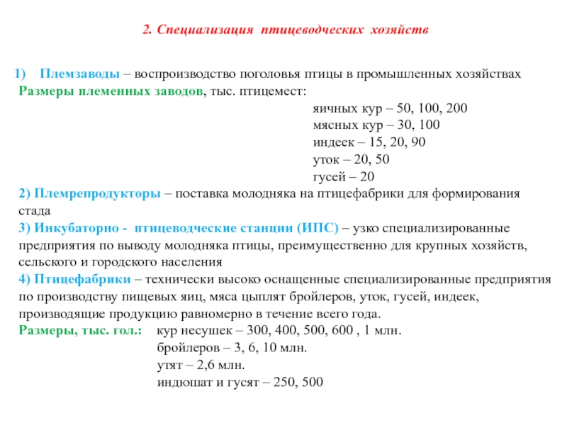 Размеры хозяйства. Эффективность использования птицемест.