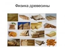 Физика древесины