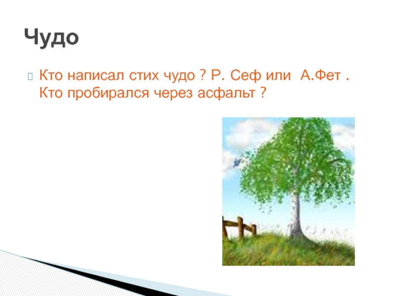 Р сеф чудо поговорим о самом главном 1 класс презентация