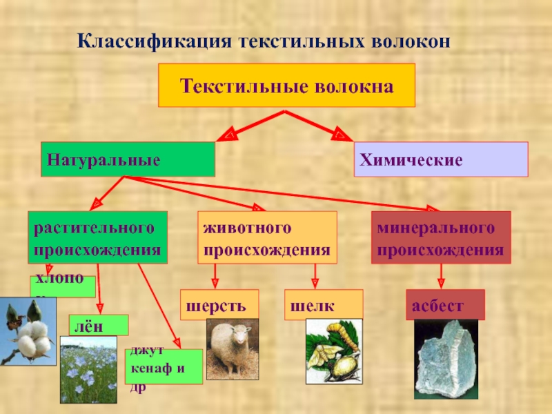 Волокна растительного происхождения