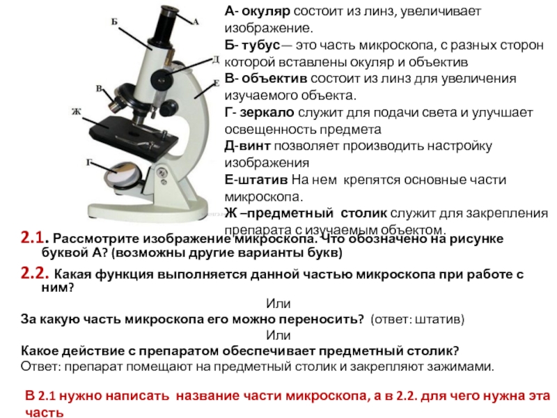 Какую часть выполняет тубус. Микроскоп ВПР 5 класс биология. Микроскоп части микроскопа и их функции. ВПР по биологии 6 класс микроскоп схема. ВПР по биологии 6 класс микроскоп.
