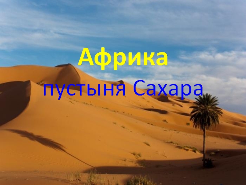 Географических пустынь. Пустыни в Африке 7 класс география. Пустыни Африки презентация. Четыре пустыни Африки. Тропические пустыни в Африке презентация.