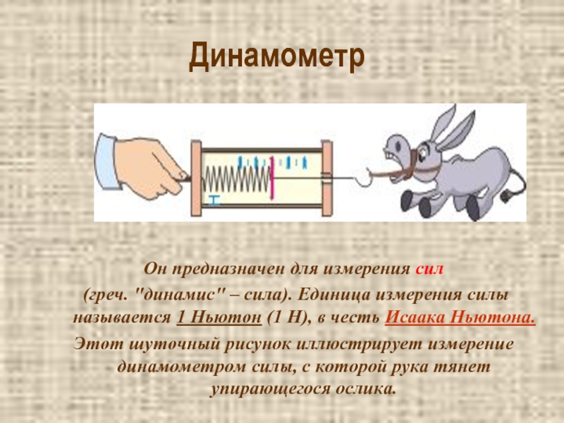 Сила 1 ньютон. Динамометр единицы силы. Динамометр единица измерения. Динамометр это прибор для измерения силы тяжести. Сила измерение силы.