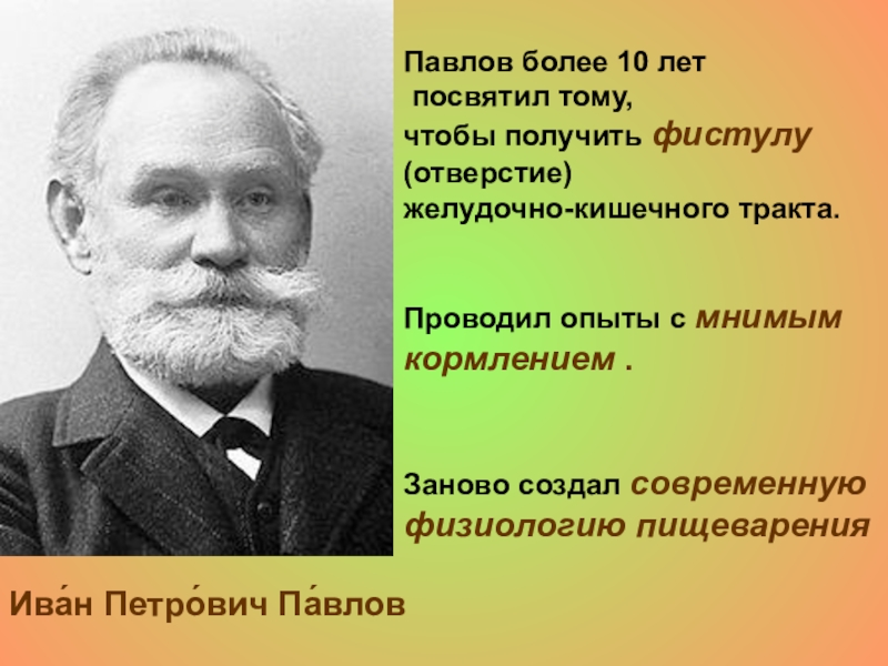 Результаты научных достижений. Павлов Иван Петрович фистула. Иван Петрович Павлов физиология пищеварения. Павлов более 10 лет посвятил тому. Иван Петрович Павлов физиология пищеварения фото.