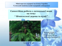 Міністерство аграрної політики України Сумський національний аграрний