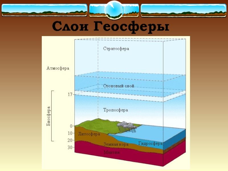 Биосфера земли схема