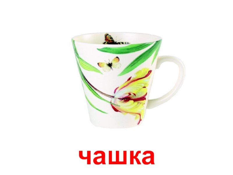 Cup 11