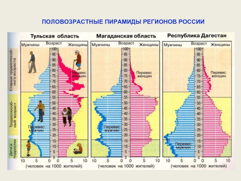 План анализа половозрастной пирамиды
