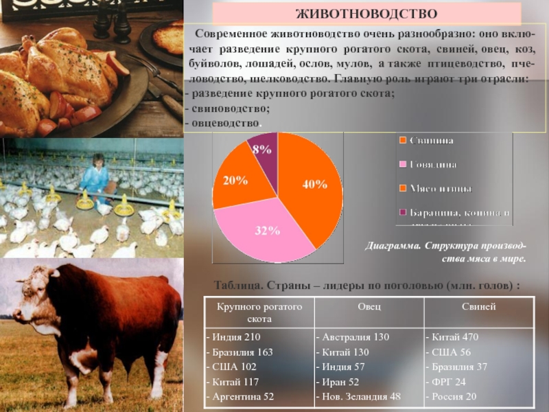 Заполните схему структура животноводства мира животноводство