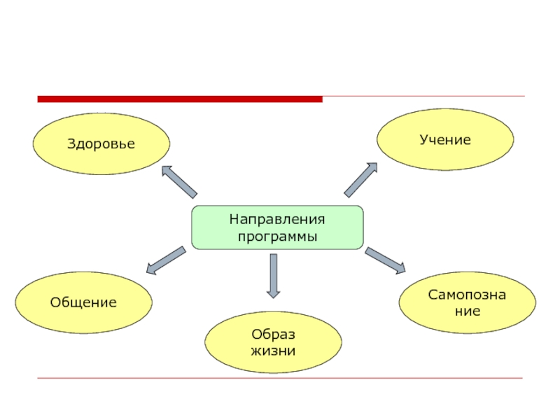 Направление здоровье. Образ жизни учение работа. Зона здоровья доктрина.