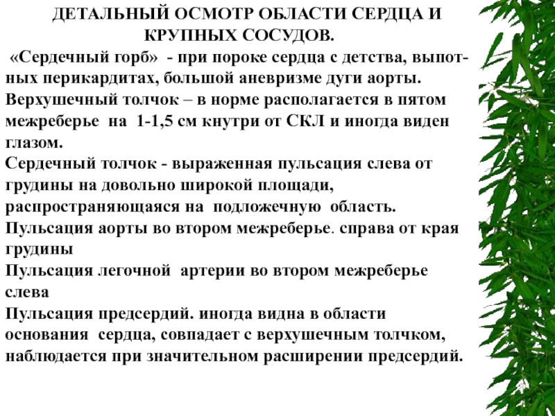 Осмотр по областям. Осмотр области сердца и крупных сосудов. Верхушечный толчок в норме расположен. Осмотр области сердца сердечный горб верхушечный толчок в норме. 3. Осмотр области сердца и крупных сосудов..