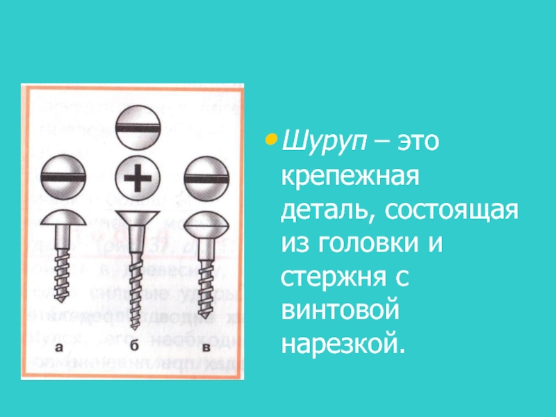 Деталь состоит. Стержень с головкой и винтовой нарезкой. Из чего состоит шуруп. Типы винтов в зависимости от назначения и формы головки.. Крепежная деталь, состоящая из закладной головки и стержня – это ….