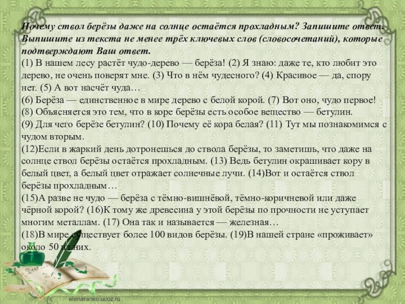 Почему старушка поверила ивану. В нашем лесу растет чудо дерево береза. Выпишите из текста ключевые слова. Выписать ключевые слова из текста. Почему ствол березы даже на солнце остаётся прохладным.