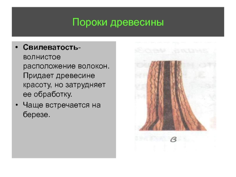 Пороки древесины 6 класс технология презентация