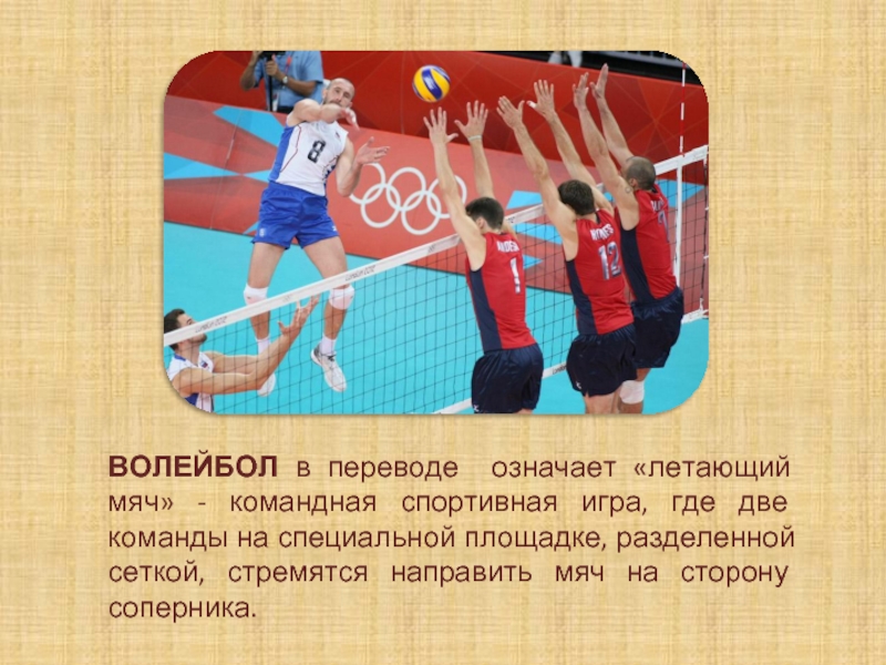 Volley перевод