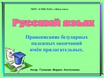 Безударные падежные окончания прилагательных