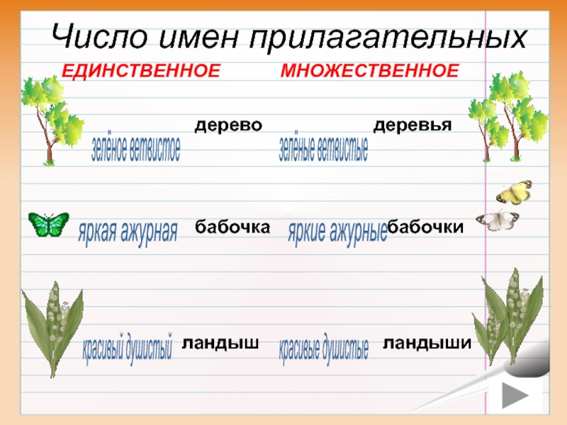 Имена прилагательные в названиях растений проект