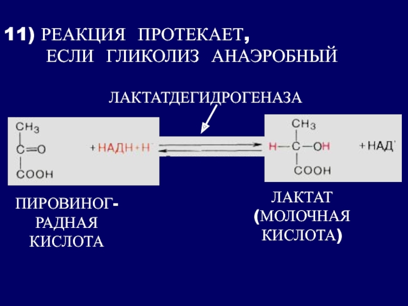 Анаэробный гликолиз. 11 Реакция анаэробного гликолиза. Аэробный гликолиз 11 реакций. Реакции гликолиза 11 реакций. Реакции гликолиза протекают в.