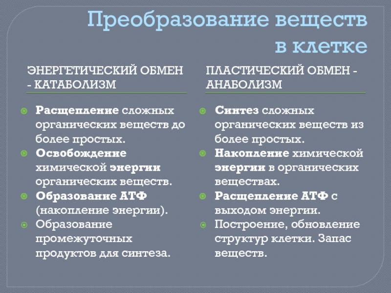 Презентация по биологии 8 класс пластический и энергетический обмен