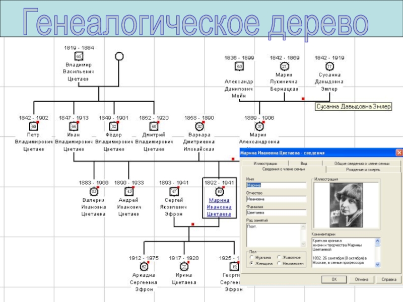 Информационную модель родословной часто представляют в виде таблицы дерева сети плана