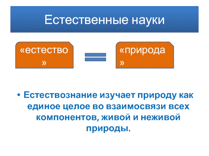 Слово естество