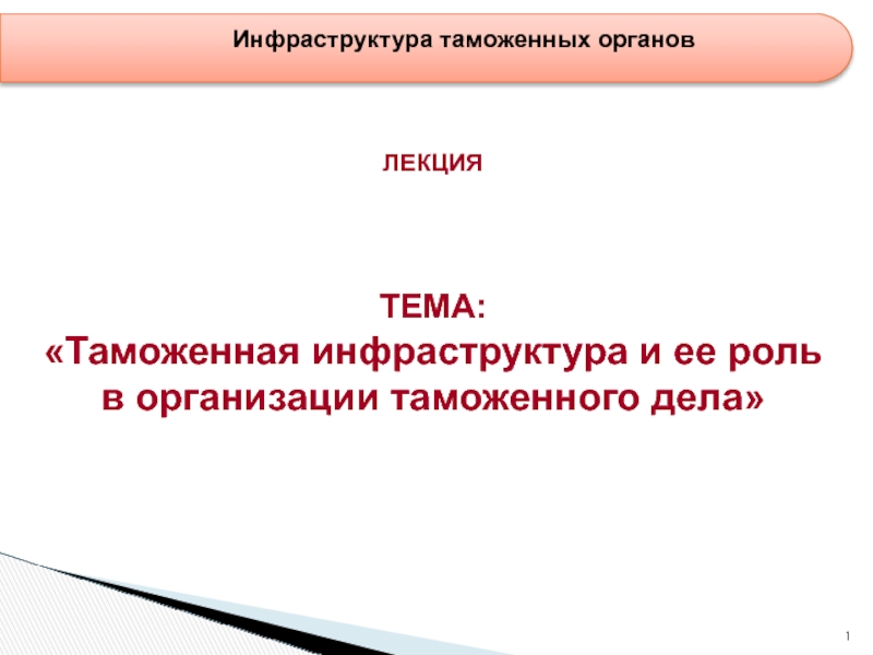 Презентация Таможенная инфраструктура и ее роль в организации таможенного дела