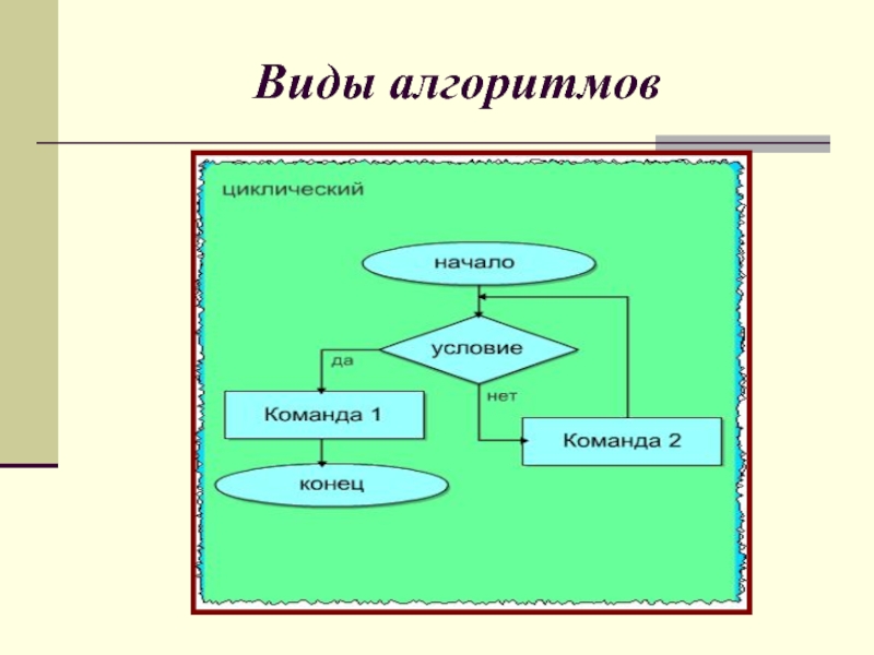 Виды алгоритмов. Какие виды алгоритмов. Текстовый: вид алгоритма. Необычные виды алгоритмов.