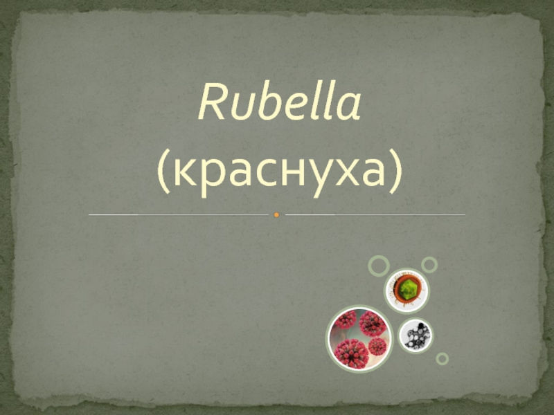 Rubella ( краснуха)