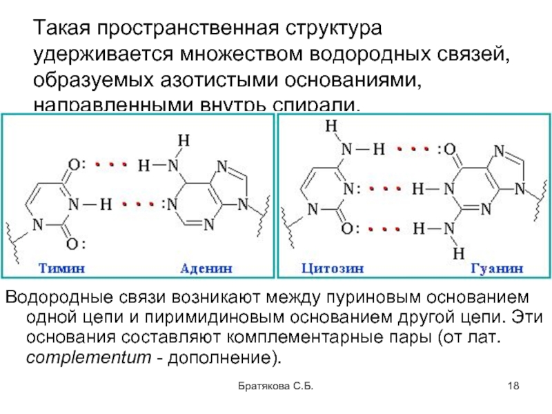 Азотистые основания нуклеиновых кислот. Пуриновые и пиримидиновые основания связи. Водородные связи в комплементарных парах нуклеиновых оснований РНК. Пуриновые основания РНК.