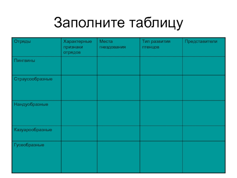 Таблица по биологии 7 класс. Таблица отряд птиц отряды характеристика представители. Отряды птиц таблица 7 класс биология. Таблица биология отряды птиц. Таблица отряды птиц по биологии 7 класс.