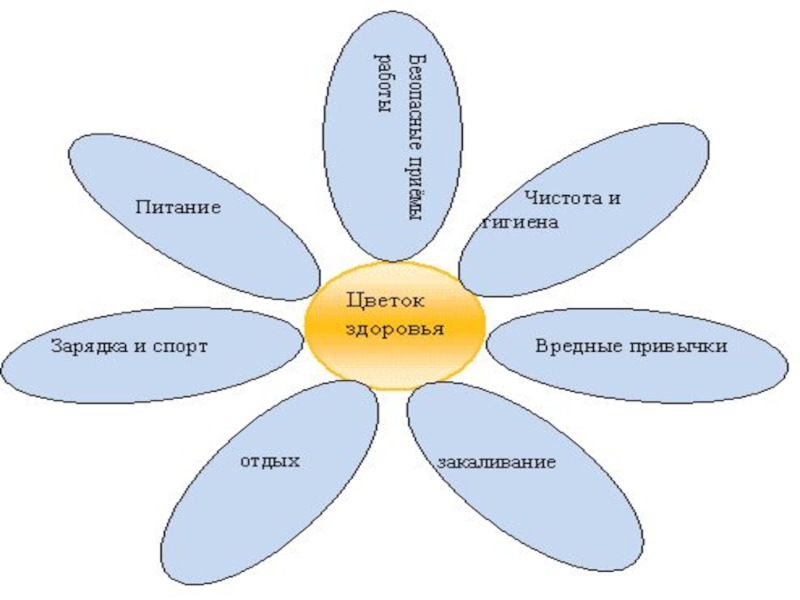 Схема здоровья человека. Ромашка здорового образа жизни. Цветок здоровый образ жизни. Составляющие здоровья Ромашка. Цветок здоровья для дошкольников.