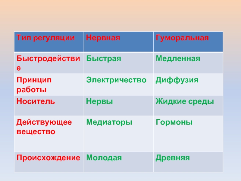 Регуляция процессов