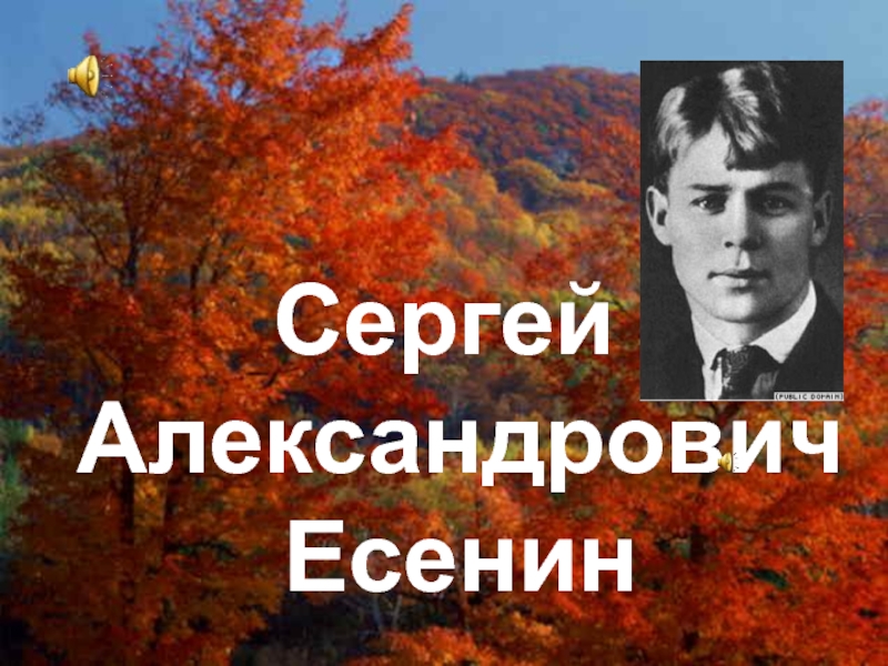 Концептуальный мир поэзии Сергея Есенина