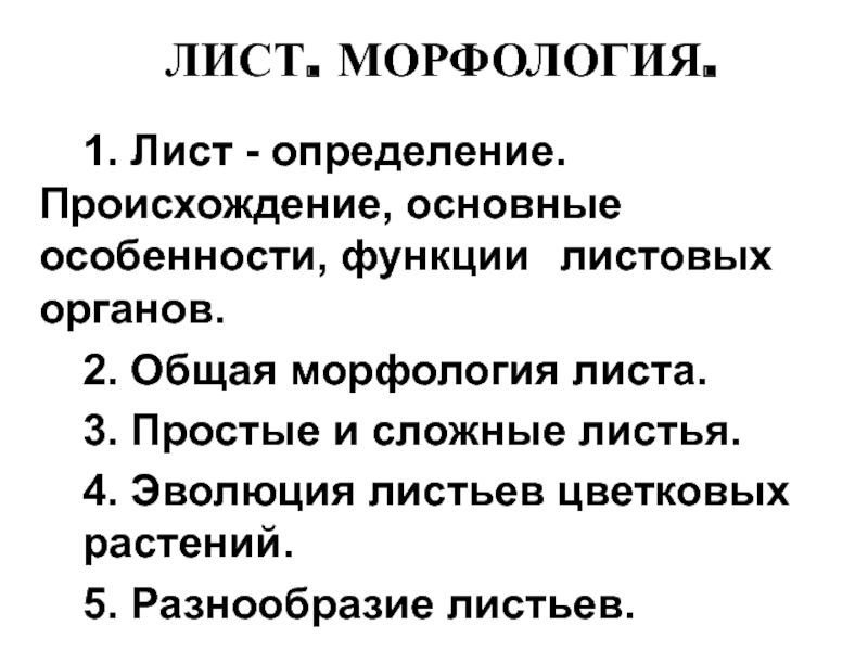 ЛИСТ. МОРФОЛОГИЯ