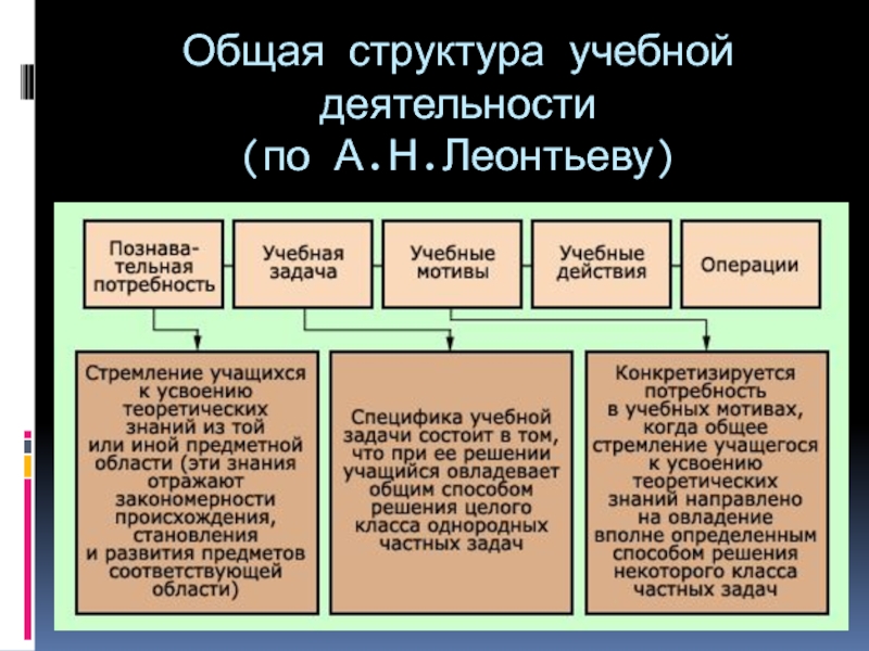 Структура учебной деятельности схема