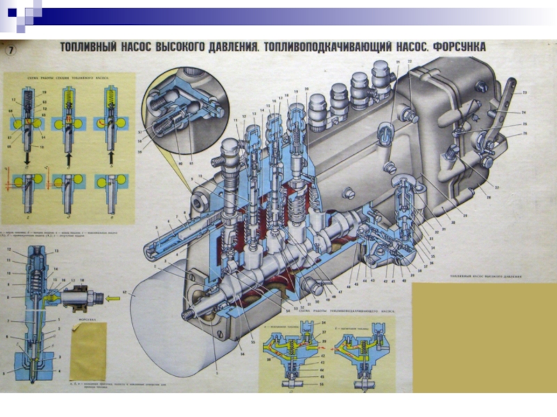 Порядок работы тнвд ямз 238 схема