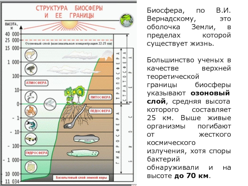 Нарисуйте схему границы биосферы покажите штриховую область земли в которой существует жизнь