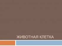 Животная клетка