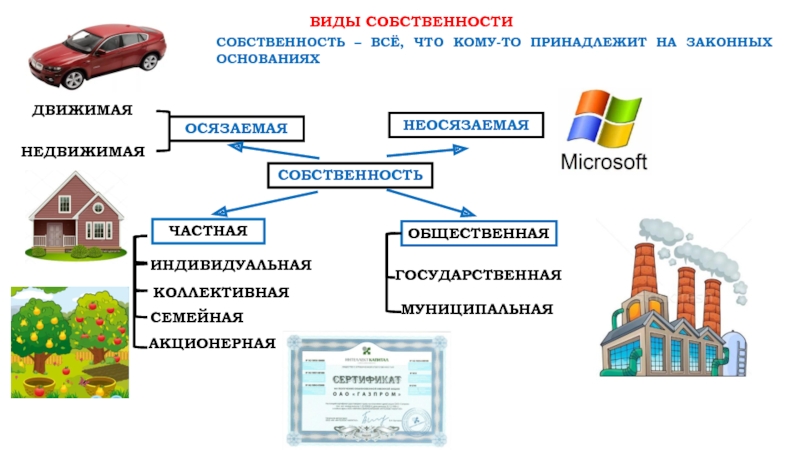 Виды собственности презентация