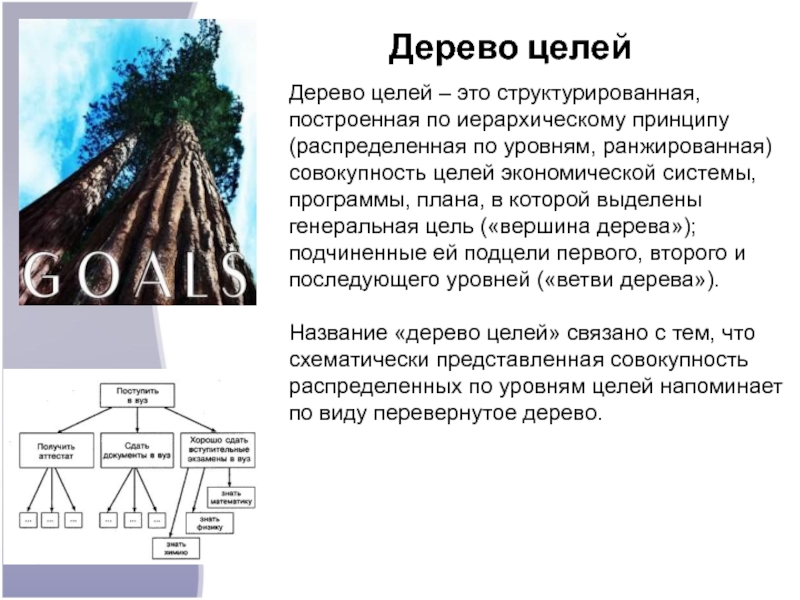 Структурированная построенная по иерархическому принципу совокупность целей проекта