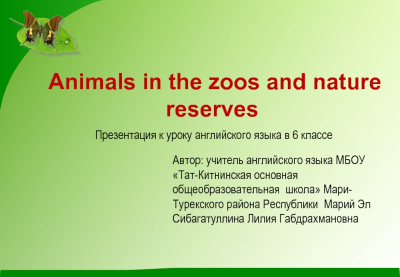 Animals in the zoos and nature reserves 6 класс