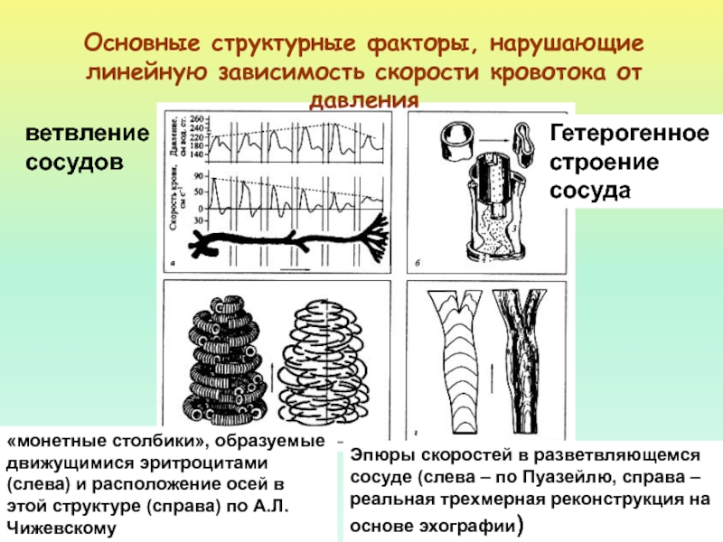 Основной структурный