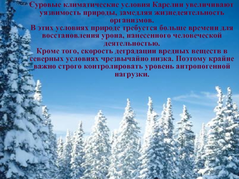 Природ условия. Карелия климатические условия. Суровые климатические условия.