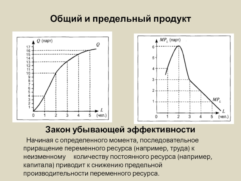 Переменный ресурс труд