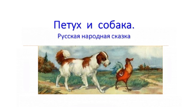 Презентация Петух и собака