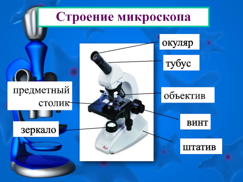 Фотография микроскопа с подписями